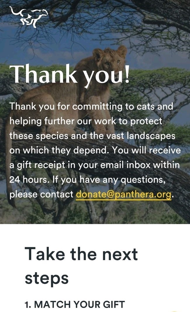 CHARITY DONATION $40 SYBERGOTHESS SYBERGOTH SYBER TIGER JAGUAR LEOPARD PANTHERA