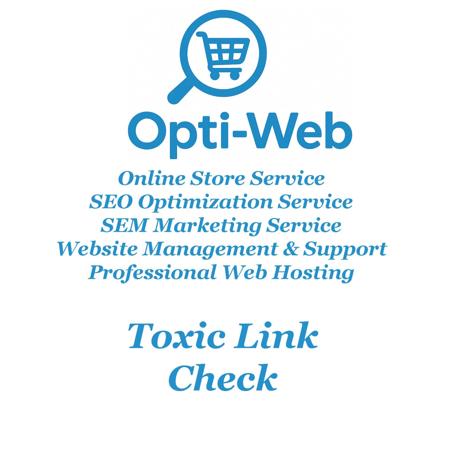 Backlink Audit – Toxic Link Check + Clear Report for Your SEO