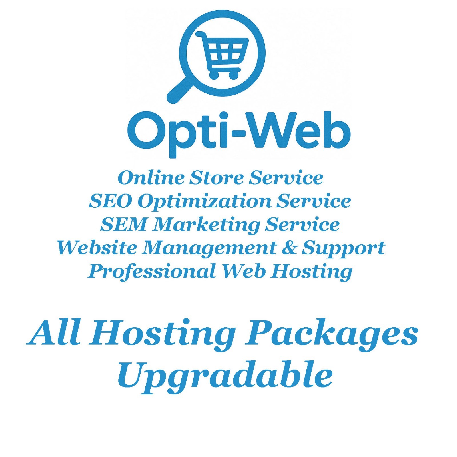 Premium SSD Web Hosting 10 GB – High-Speed German Servers – Only USD36/Year