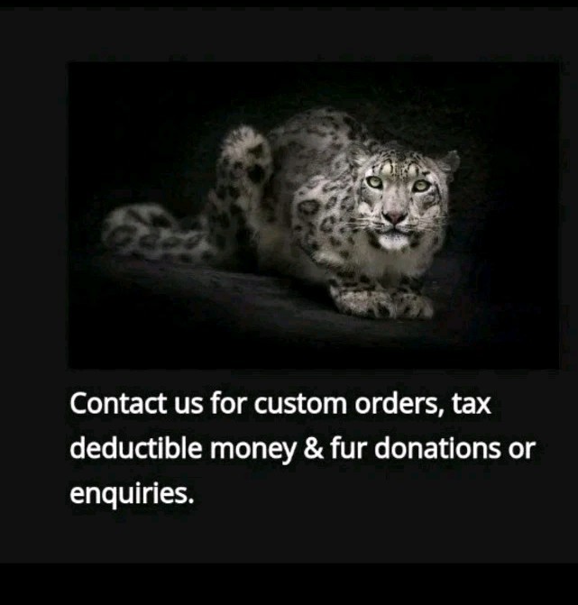 CHARITY DONATION $40 SYBERGOTHESS SYBERGOTH SYBER TIGER JAGUAR LEOPARD PANTHERA