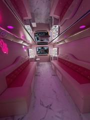 EXCELLENT BUSINESS OPPORTUNITY – MOBILE SPA PARTY BUS MANUFACTURING FOR GIRLS