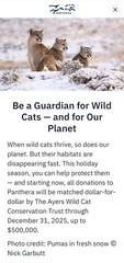 CHARITY DONATION $120 SYBERGOTHESS SYBERGOTH SYBER TIGER JAGUAR LEOPARD PANTHERA