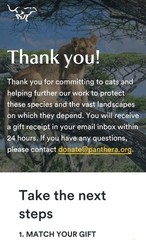 CHARITY DONATION $120 SYBERGOTHESS SYBERGOTH SYBER TIGER JAGUAR LEOPARD PANTHERA