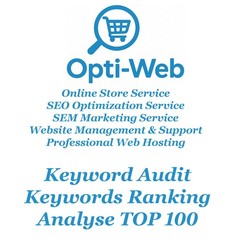 Keyword Audit – Find & Analyse All Your Keywords Ranking in Google TOP 100